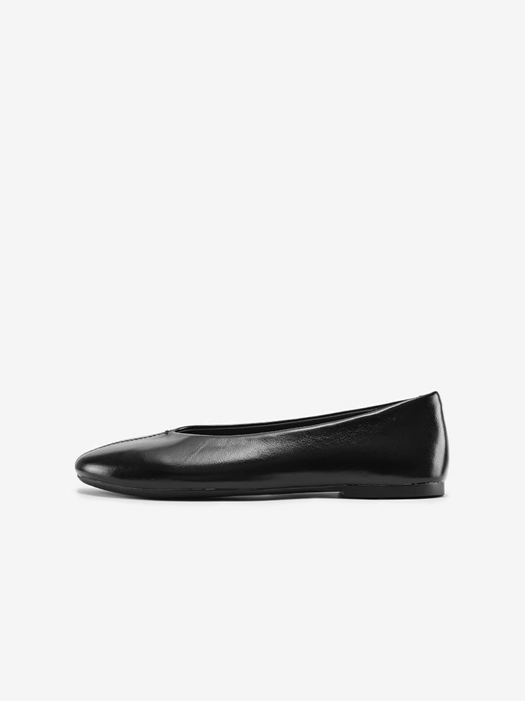 Coolchap Valse Preludio Shadow Jet