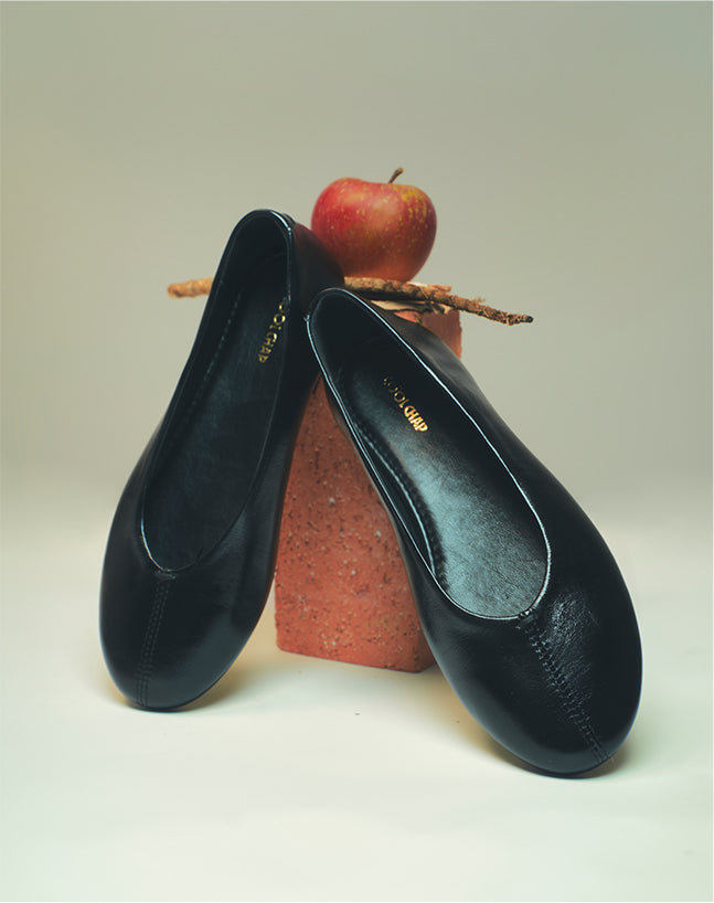 Zapatos Bajos